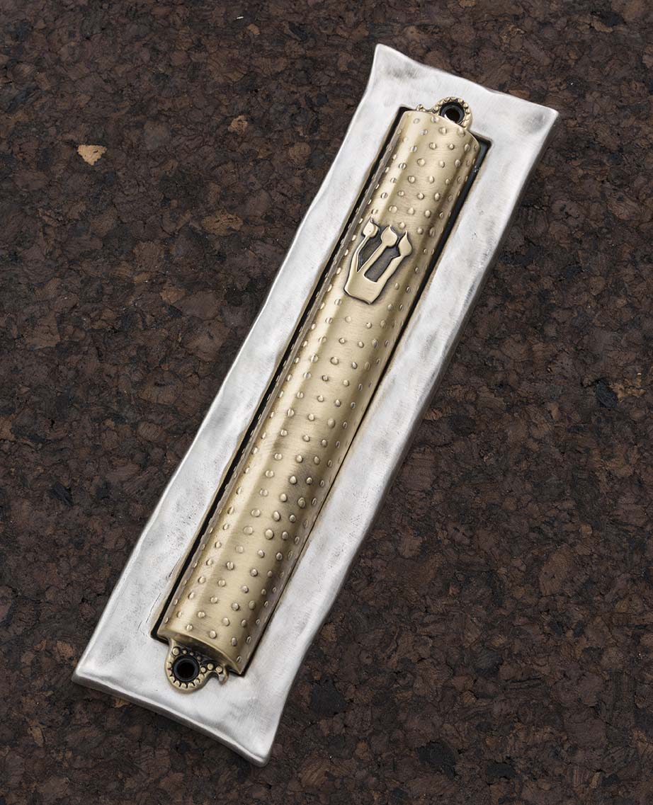 D8596S